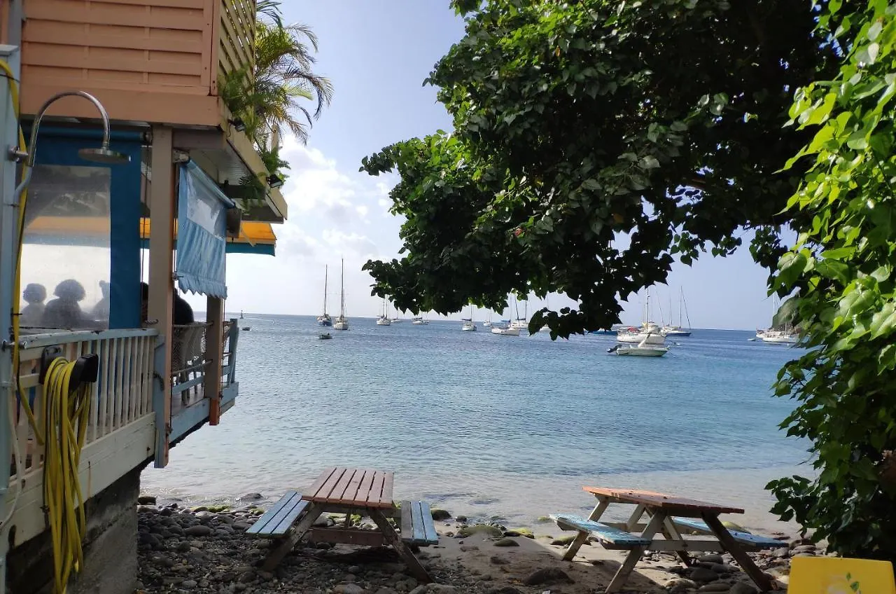Tee Coco Marine Apartment Saint-Francois  Guadeloupe