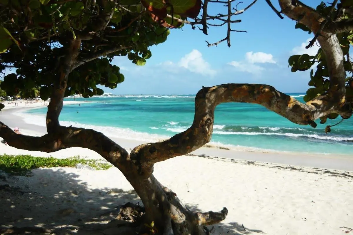 Tee Coco Marine Apartment Saint-Francois